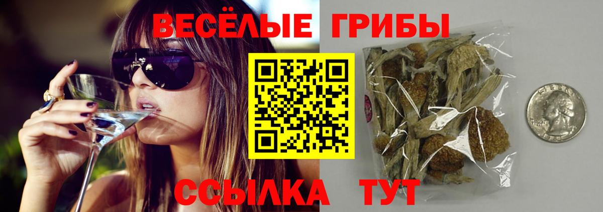 Керчь  Галлюциногенные грибы мухоморы  Вход с VPN 